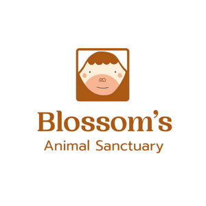 Fundraising Page: [Bloom Demo Site] Blossom's Annual Gala and Auction