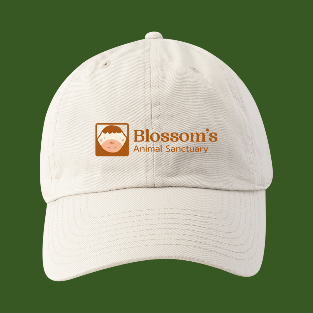 Baseball Cap - White