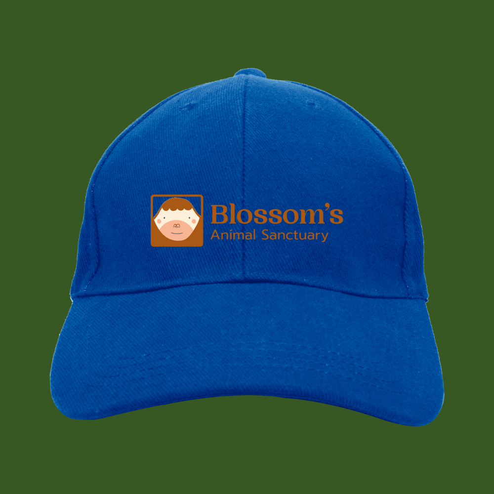 Baseball Cap - Blue